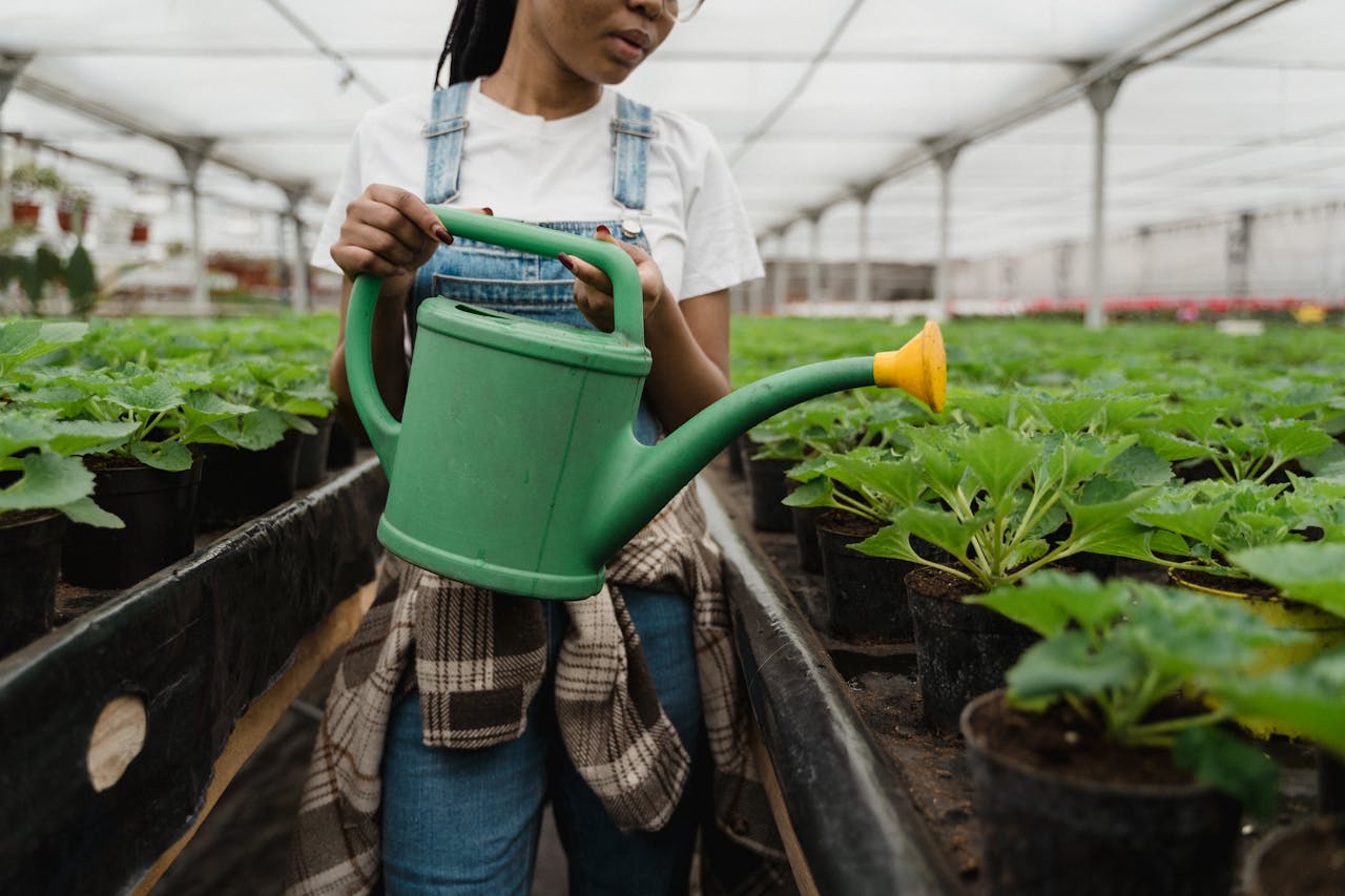 why-choose-us A woman waters plants in a greenhouse, promoting sustainable gardening.